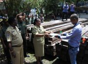 Harga Kayu Tinggi, Perambahan Hutan Meningkat