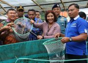 KKP Kembangkan  Lele Sentani Gunakan Sistim Bioflok