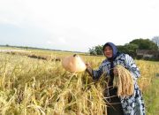 Masyarakat Jawa Timur Rindu Program Kerakyatan Pak Harto