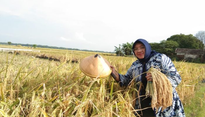Masyarakat Jawa Timur Rindu Program Kerakyatan Pak Harto