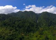 Masyarakat Papua Desak DPR Hentikan RUUP