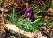 Ayo Lestarikan dan Jaga Hutan Sagu