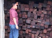 4 Kontainer Kayu Merbau Diamankan di Sorong