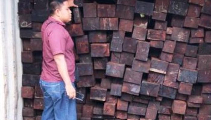 4 Kontainer Kayu Merbau Diamankan di Sorong