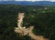 BBPJN: 30 KM Lagi, Trans Papua Rampung