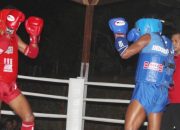 PON XX, Muaythai Papua Seleksi Atlet