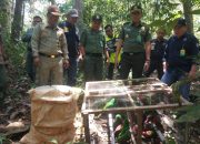 BBKSDA Papua Lepas Burung Cenderawasih