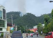 Pemkot Segera Tertibkan Pembakaran Kawasan Hutan Perbukitan Apo