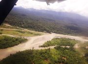 Koalisi Sipil Khawatir Investasi Picu Kerusakan Hutan