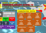 Update : Positif Covid-19 Papua Bertambah 1, Total 68 Kasus