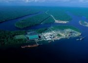 BPS: Maret 2020 Ekspor Papua US$84,36 Juta