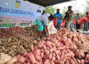 Pemprov Papua Beli 5 Ton Hasil Pertanian Lokal