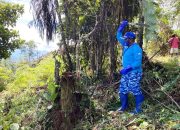 Demokrat Papua Buka Kebun 10 Hektar