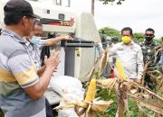 Jagung Kering Keerom Dipasarkan ke Blitar