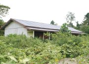 Pemkab Keerom Lirik Pabrik Ubi Jalar