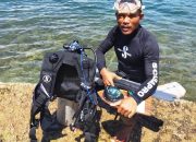 Verry Dwi Irjayanto, Peselam Emas Papua