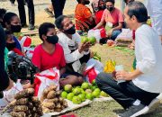 Presiden Serahkan NIB bagi Pelaku UMKM di Tanah Papua