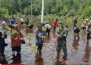 Korem 172 Bersama  Mahasiswa Uncen Tanam 500 Mangrove