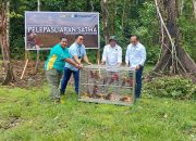 Peringati Hari Rimbawan,BBKSDA Papua Lepas Liar 20 Satwa Dilindungi