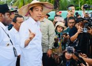 Indonesia Siap Kerja Sama Hilirisasi dengan PNG