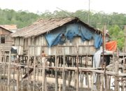 Orang Miskin di Papua Capai 915 Ribu Orang