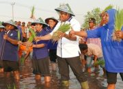 Petani Merauke Dapat 53 Traktor