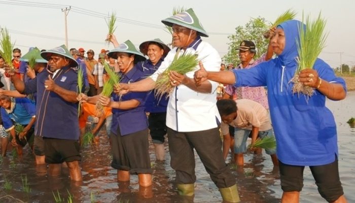 Petani Merauke Dapat 53 Traktor