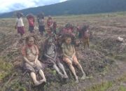 DPR Soroti Kelaparan di Papua