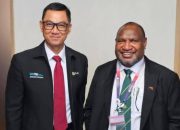 PLN Siap Transfer Listrik ke PNG