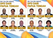 Ada Nama Wilhemus Pigai dan Yorrys Raweyai, Calon DPD Papua Tengah