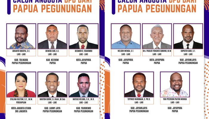 Ini Calon DPD 3 DOB, Papua Selatan Terbanyak, Papua Pegunungan 11 dan Papua Barat Daya 12