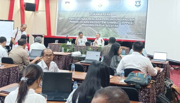 Pemprov Papua Selatan Siapkan RPPEG