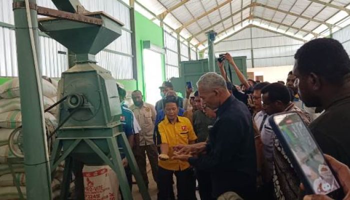 Perdana, Pabrik Pakan Ternak Ayam Diresmikan