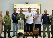 Pengiriman Burung Cenderawasih Digagalkan