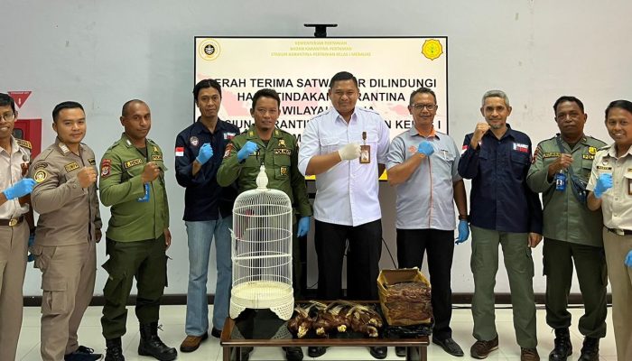 Pengiriman Burung Cenderawasih Digagalkan
