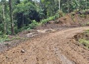 Polisi Endus Dugaan Korupsi di Proyek Jalan Simei – Obo Distrik Kuri