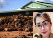 Disnaker Papua Selatan Mediasi Kasus PHK Karyawan PT Inocin
