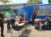 Kejari Merauke Musnahkan BB Kasus Narkotika dan Senpi