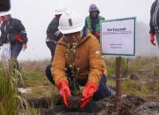 KLHK dan Bappenas Kunjungi PTFI, Pantau Reklamasi dan Pemberdayaan Masyarakat