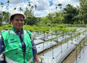 Merajut Masa Depan Masyarakat di Kawasan Tambang Freeport