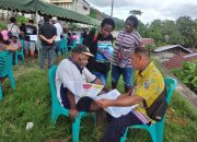 Ini Hasil Sementara Suara DPR-RI Dapil Papua