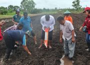 Pj Gubernur Safanpo Tanam Jagung