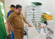 Tekan Inflasi, Pemprov Papua Selatan Subsidi Beras