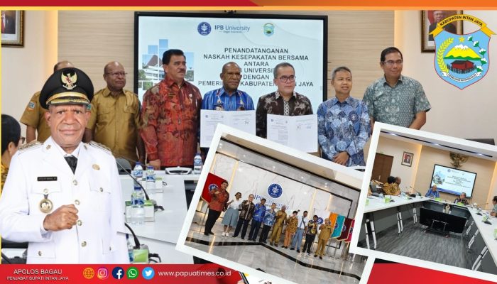 Pemkab Intan Jaya Teken MoU dengan IPB Bogor