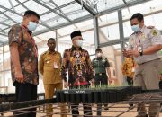 Wapres Dukung Perkebunan dan Industri Tebu di Merauke