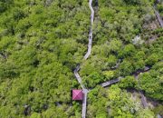 LindungiHutan Rilis Capaian Pelestarian Lingkungan Sepanjang 2023