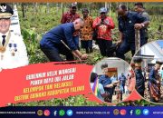 Gubernur Wanggai Panen Ubi Jalar di Abenaho