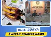 Karantina Berhasil Sita Kulit Buaya da Awetan Burung Cenderawasih
