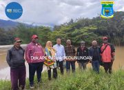 Terima Kasih Velix Wanggai, Analisis Sosial Politik dan Budaya