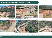 Menteri LH Tindak Tegas Tambang Nikel di Raja Ampat